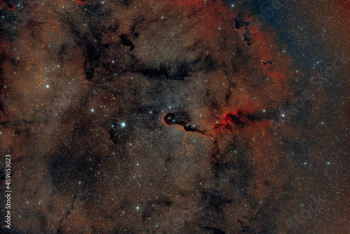 Elephants trunk with stars in the night deep sky