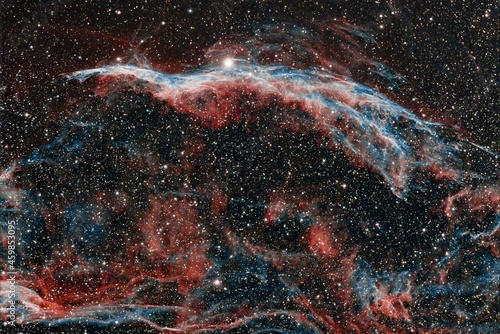 Stormbird with stars in the night deep sky