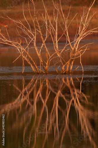Abstract, Reflection, Bheemanakuppe, Bangalore, Karnataka, India