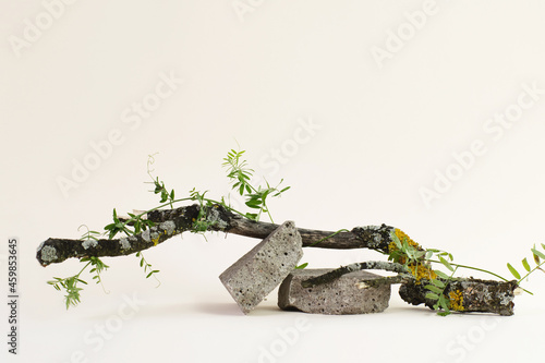 Natural beauty podium backdrop for cosmetic product display.fashion beauty background with stone and wood texture.
