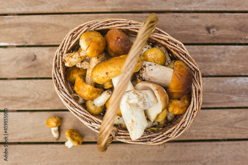 basket with edible mushrooms on wooden table