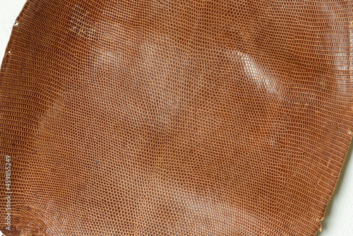 Lizard leather tanned in Thailand.