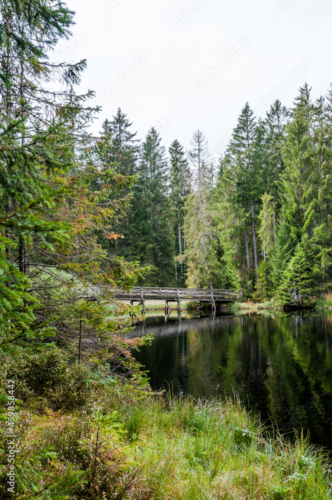 étang de la gruère, la gruère, See, Moorsee, Moor, Weiher, Hochmoor, Wanderweg, Spazierweg, Holzbrücke, Wald, Waldweg, Wasserpflanzen, Torfmoos, Jura, Naturschutz, Herbst, Herbstfarben, Schweiz étang de la gruère, la gruère, See, Moorsee, Moor, Weiher, Hochmoor, Wanderweg, Spazierweg, Holzbrücke, Wald, Waldweg, Wasserpflanzen, Torfmoos, Jura, Naturschutz, Herbst, Herbstfarben, Schweiz
