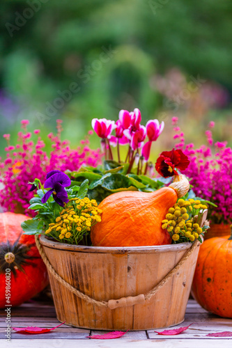 Pumpkins and heathers on a wooden table in the garden. Space for text.