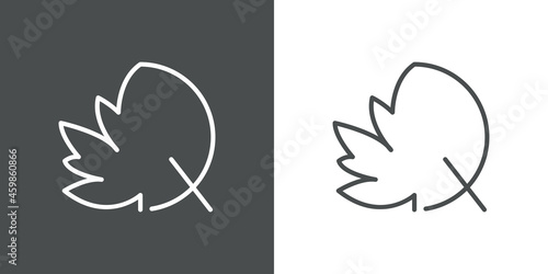 Logotipo letra inicial Q en hoja de arce con lineas en fondo gris y fondo blanco