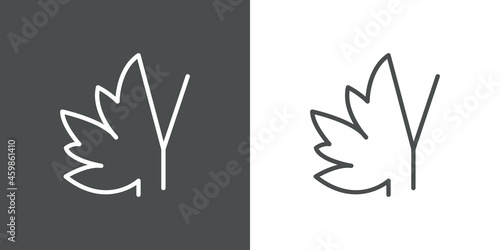 Logotipo letra inicial Y en hoja de arce con lineas en fondo gris y fondo blanco