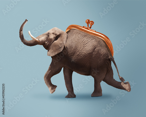 Photography Budget safari - happy elephant and wallet concept
