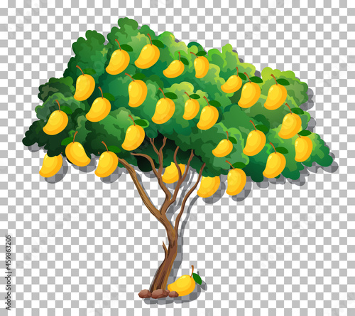 Mango tree on transparent background