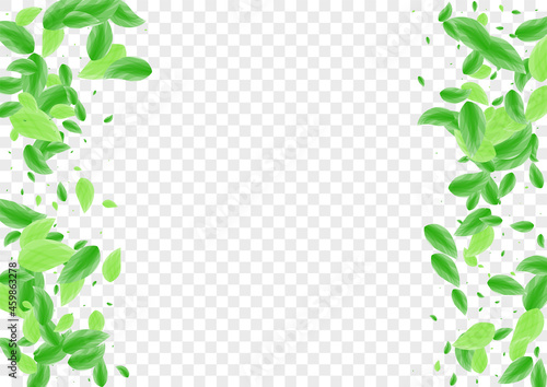 Greenish Sheet Background Transparent Vector. Leaf Herbarium Design. Life Card. Light Green Motion Illustration. Vegetation Clear.