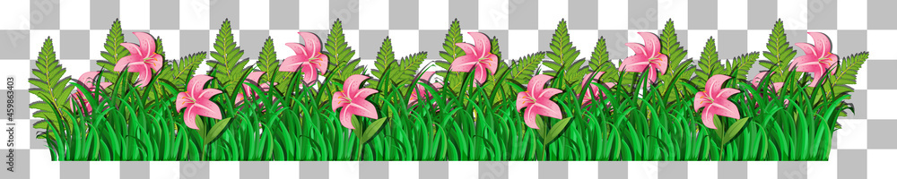 Obraz premium Grass and plants on transparent background for decor