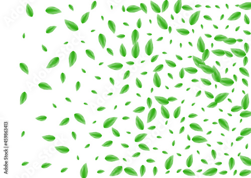 Wallpaper Mural Green Leaves Background White Vector. Sheet Drink Frame. Border Card. Greenish Air Illustration. Plant Peaceful. Torontodigital.ca