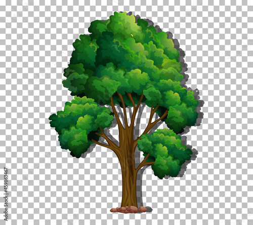 A tree with green leaves on transparent background