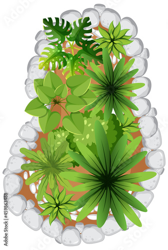 Aerial view of many tropical trees isolated on white background