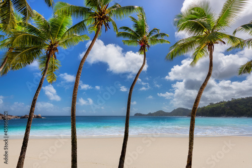 Tropical white sand beach with coco palms and the turquoise sea on Caribbean island. 