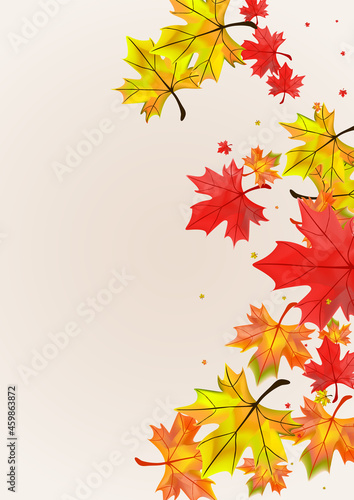 Orange Leaf Background Beige Vector. Plant Decor Card. Yellow Pattern Foliage. Nature Floral Texture.