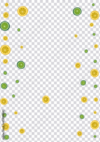 Mint Fruit Background Transparent Vector. Summer Set. Bright Fruit Simple. Cocktail Citrus Greenish Set.