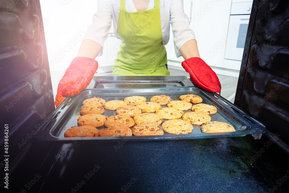 Tray with freshly baked cookies and woman hands