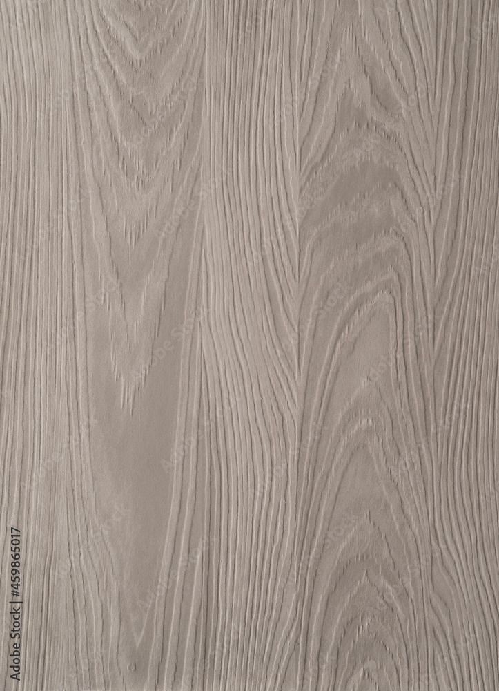 Fototapeta premium wood texture