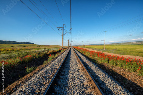 A straight railway track going forward through red poppy fields under a blue sky.