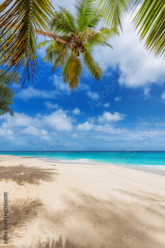 Fototapeta Naklejka Na Ścianę i Meble -  Sunny tropical beach with coco palms and the turquoise sea on Caribbean island.