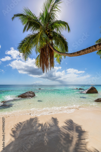 Fototapeta Naklejka Na Ścianę i Meble -  Tropical white sand beach with coco palms and the turquoise sea at sunset on Seychelles island.	