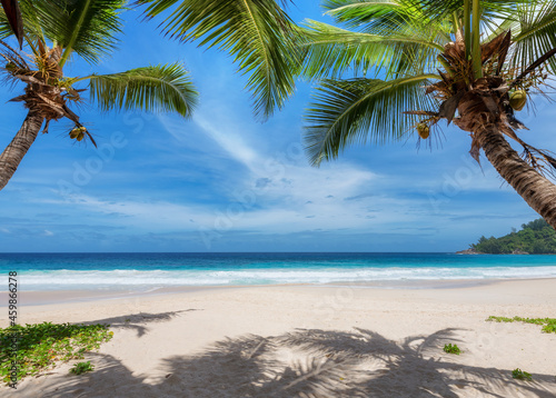 Fototapeta Naklejka Na Ścianę i Meble -  Paradise beach with white sand and coco palms. Summer vacation and tropical beach concept.