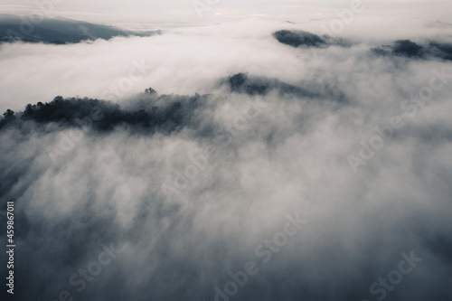 High angle view of the forest and fog in the morning