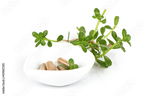 Indian pennywort or brahmi and powder in capsules isolated on white background. photo