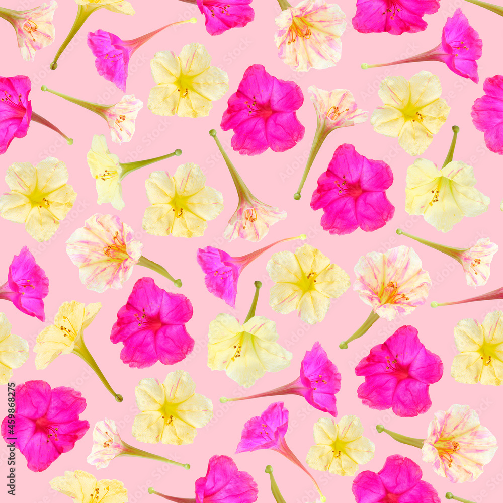 A pattern of beautiful multi-colored flowers. A pattern of flowers. 