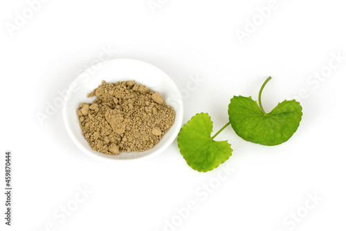 Gotu kola or Centella asiatica green leaves and powder isolated on white background.top view,flat lay.