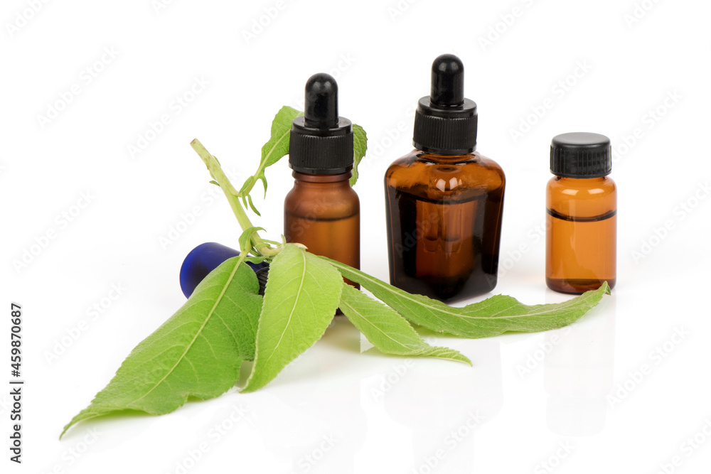 Ngai Camphor Tree ,green leaves and extract in the bottle isolated on white background. Ngai Camphor Tree ,green leaves and extract in the bottle isolated on white background.