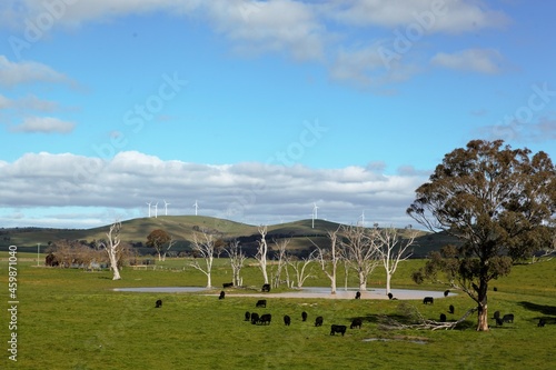 Wind Farm Blayney NSW