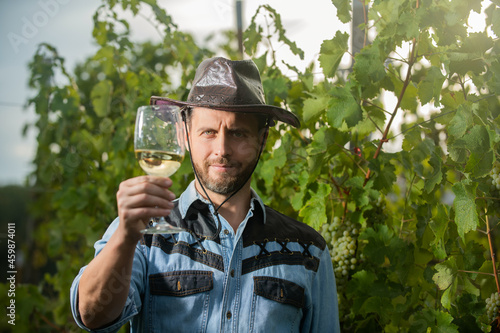 Fototapeta Naklejka Na Ścianę i Meble -  mature enologist man in hat hold wine glass at winery outdoor, cheers