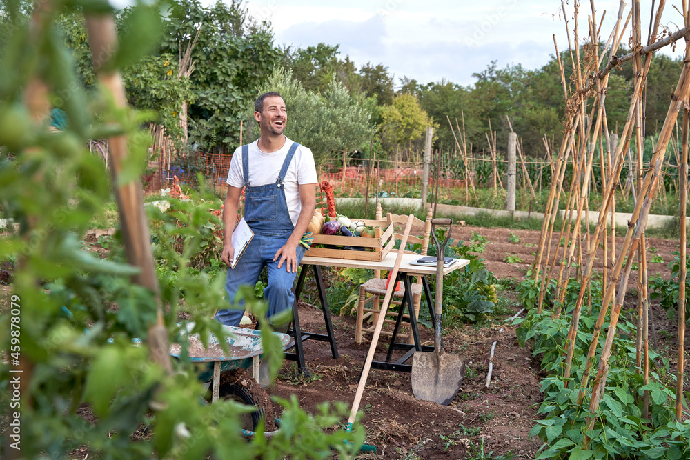 Cheerful male farm worker looking away while sitting on table at agricultural field Cheerful male farm worker looking away while sitting on table at agricultural field