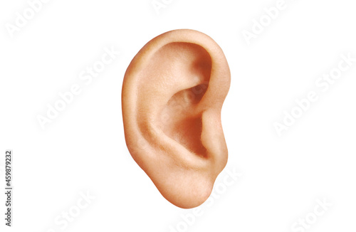 Obraz na płótnie human ear 