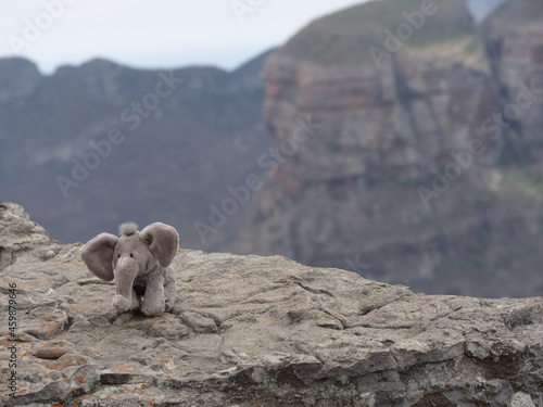 Toy elephant on a rock on the coast in South Africa