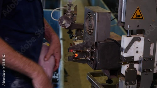 Burning or cutting tail of piglets 
