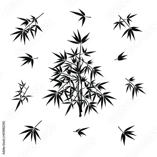 Fototapeta Naklejka Na Ścianę i Meble -  Vector illustration of bamboo tree silhouettes. Set of different twigs