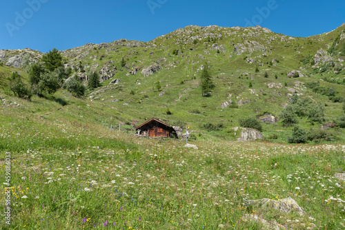 Landscape between Bellwald and Aspi-Titter suspension bridge photo