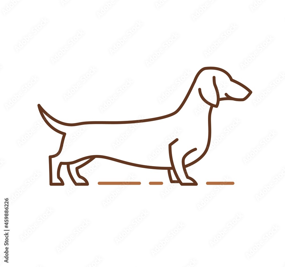 Dachshund purebred dog line icon, pet sign. Hand-drawn outline vector illustration for vet clinic, pet store advertising