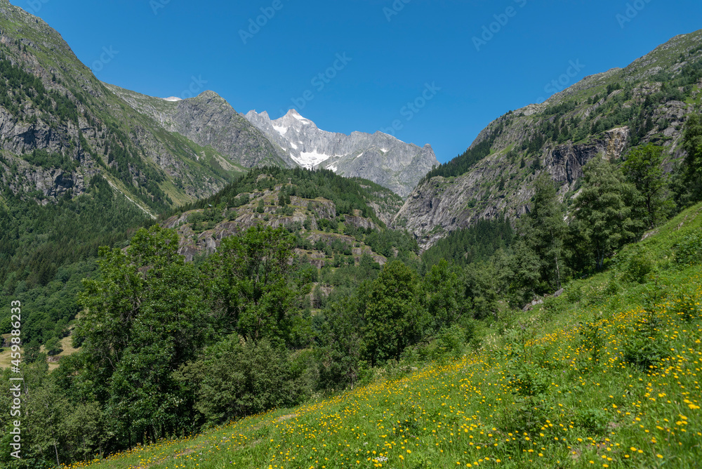 Landscape with Wannenhorn mountain between Bellwald and Aspi-Titter supesnsion bridge