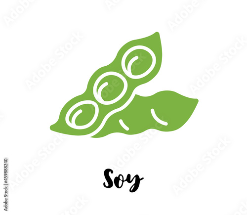 Soybean flat drawing. Soy bean vector. Soya isolated eps illustration