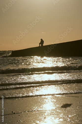 Silhouette of a Fisher