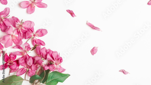 Fototapeta Naklejka Na Ścianę i Meble -  Fresh branches of apple blossoms on white table background. Flat lay. Copy space. Mothers day, Womens day