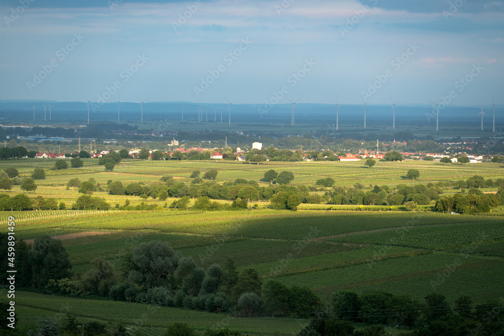 View of the Rhine valley towards the Black Forest from the Palatinate Forest View of the Rhine valley towards the Black Forest from the Palatinate Forest