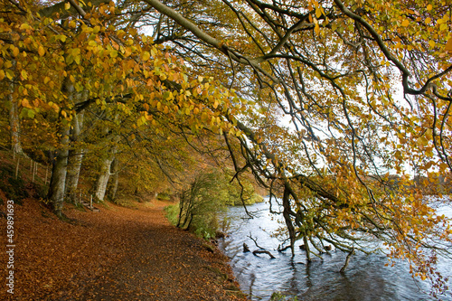 Talkin Tarn Country park, Cumbria, in autumn