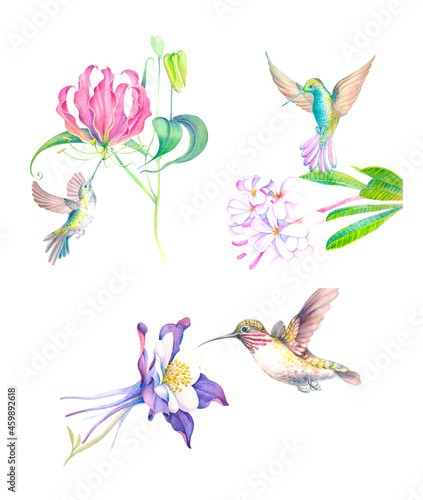 a set of watercolor illustrations of hummingbirds among exotic flowers