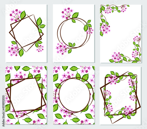 Set of botanical template for greeting cards or invitations. Hoya carnosa. Place for your text. Hand drawn vector illustration