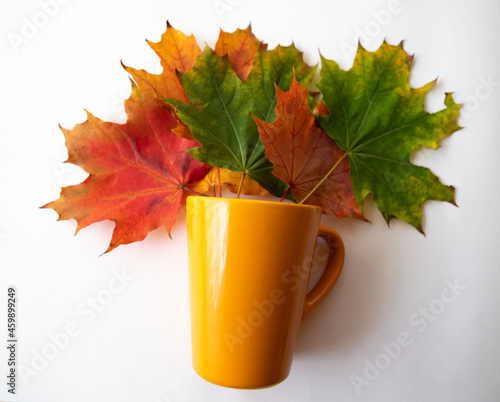 Obraz na płótnie autumn maple bouquet w salonie