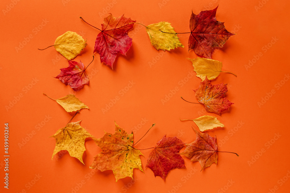 A frame of autumn leaves on an orange background. Autumn banner with copy space